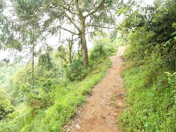 Materuni Waterfalls & Coffee Tour From Moshi - Traditional Chagga Cuisine