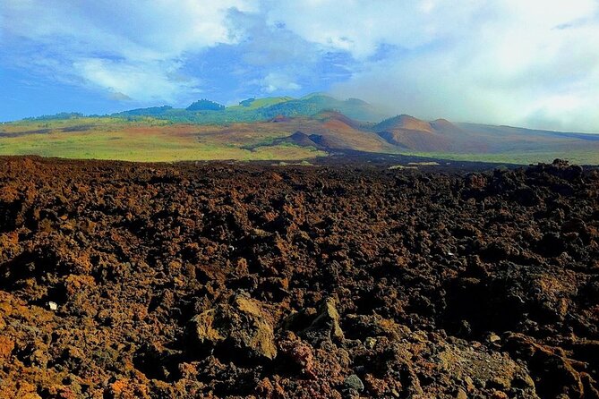 Maui Island Private Day Tour - Exploring Mauis Beaches and Villages