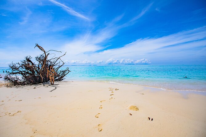 Maya Bay, Monkey Bay and Phi Phi Island Snorkeling Tour From Koh Lanta - Best Time to Book