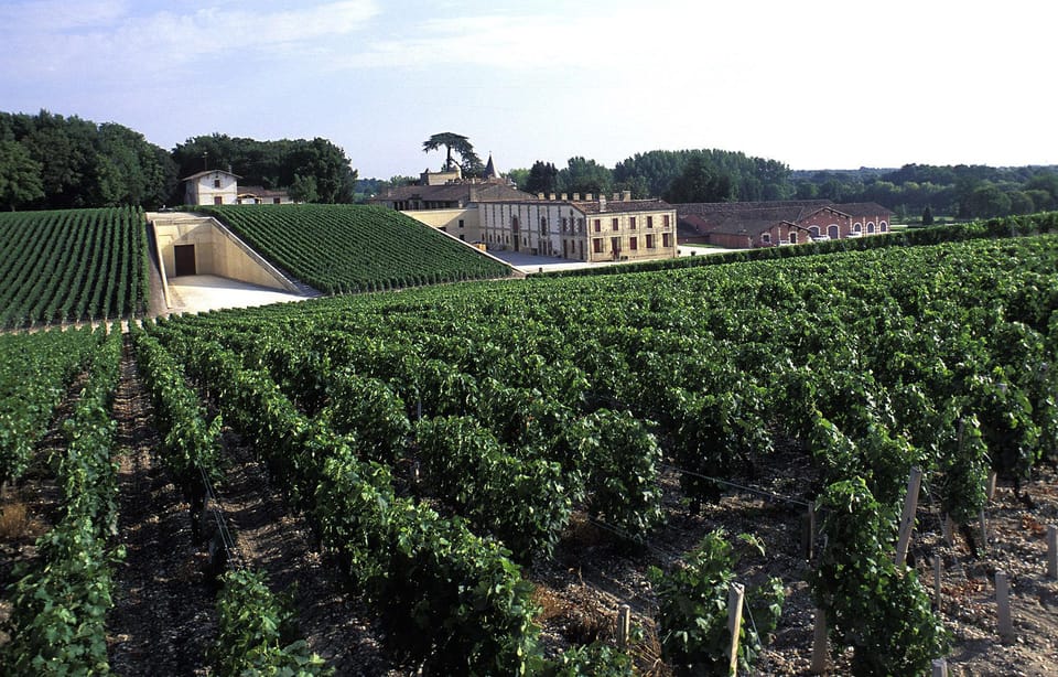 Medoc: Private Wine Tour - Chateau Visits