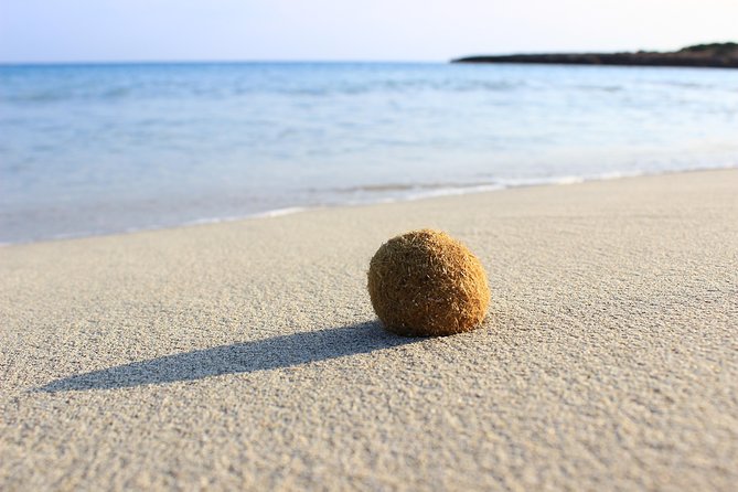 Menorca: South Coast Boat Trip With Lunch - Accessibility and Recommendations
