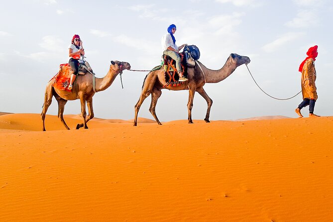 Merzouga Camel Ride & Overnight Desert Camps - Customer Reviews and Ratings