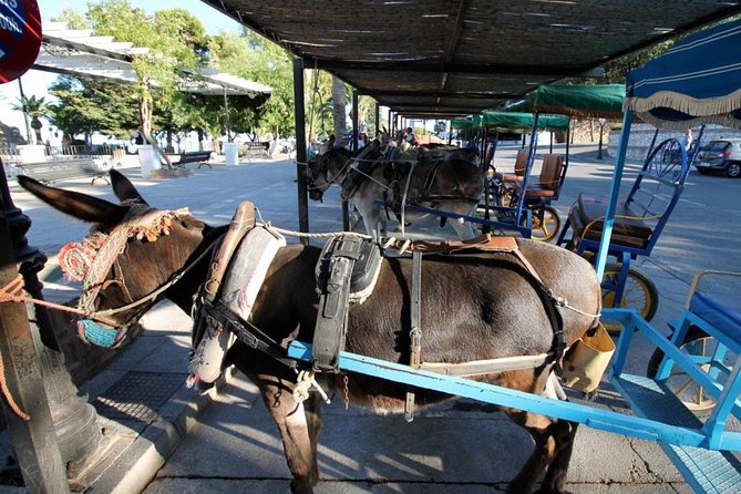 Mijas Private Walking Tour - Private Tour Experience