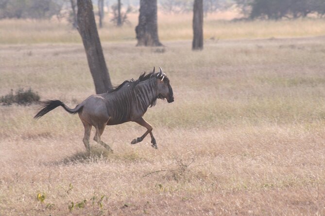 Mikumi National Park & Udzungwa Water Falls 3 Days Group Tour - Inclusions and Accommodations