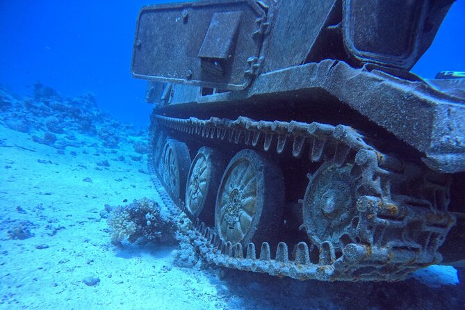 Military Museum Diving Experience in the Red Sea - Additional Activities and Courses