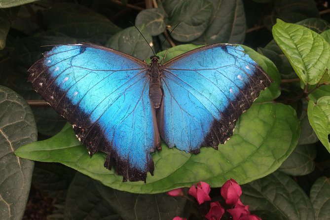Mindo Cloud Forest (Private Day Trip From Quito) - Review Highlights