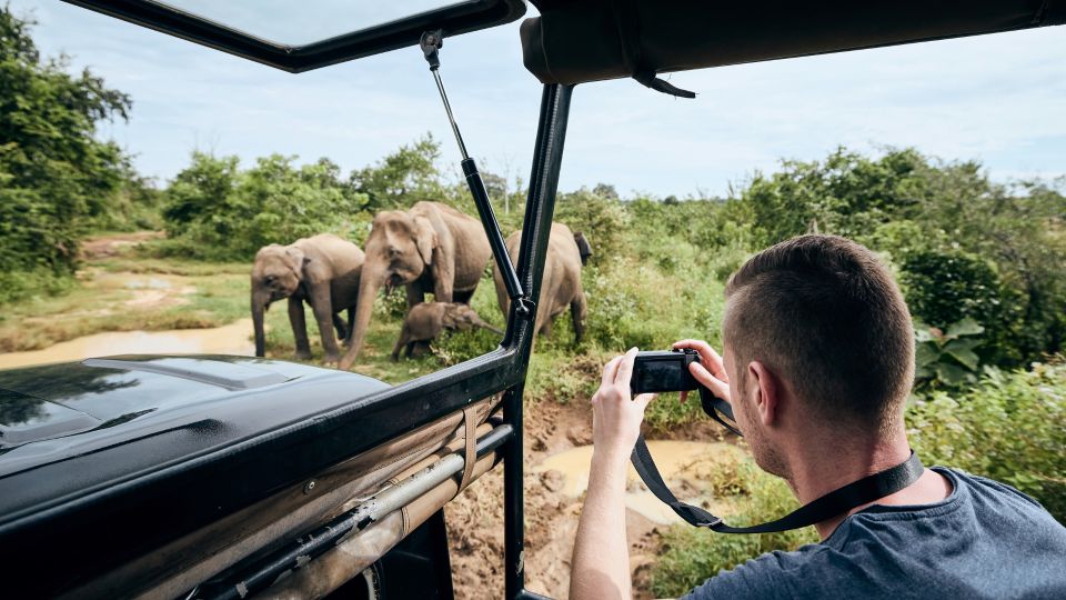 Minneriya Elephant Gathering Spectacle - Important Considerations