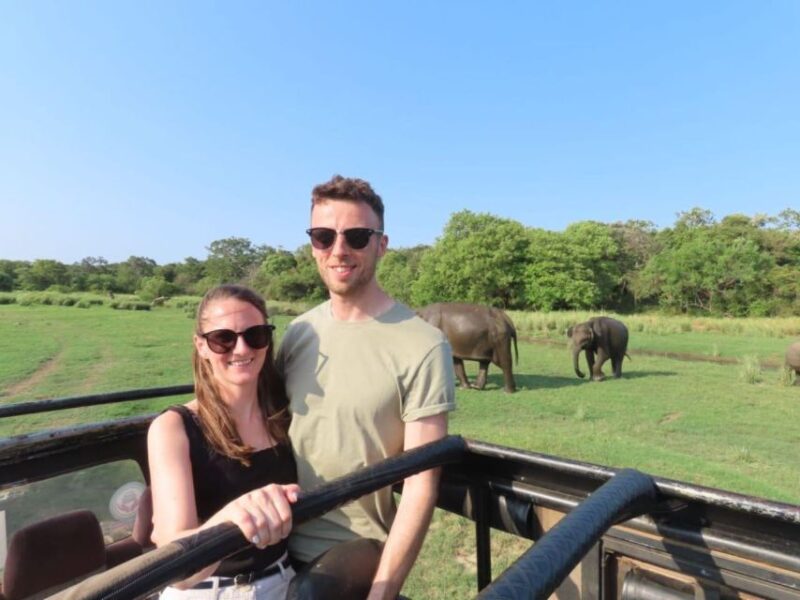 Minneriya/Kaudulla/Hurulu National Park Safari - Elephant Migration Patterns