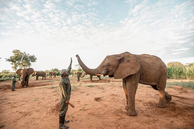 Moments With Elephants - Customer Experiences