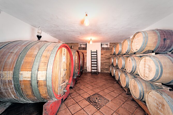 Monferrato (Asti): Wine Tour With Light Lunch Picnic in the Vineyards - Customer Review Highlights