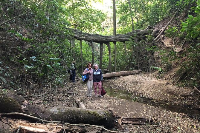 Monteverde Cloud Forest Authentic Experience - Wildlife Observation Opportunities