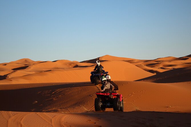 Morning Desert Safari Dubai:Red Dunes Desert,Camel Ride,Sand Boarding (Private) - Guest Reviews and Ratings