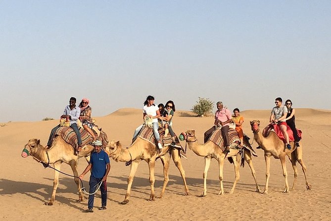 Morning Dune Bashing, Including Camel Riding and Sand Boarding From Dubai - Tips for Enjoying the Tour