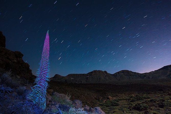 Mount Teide Night Tour: Stargazing, Dinner and Hotel Pick up - Constructive Traveler Feedback