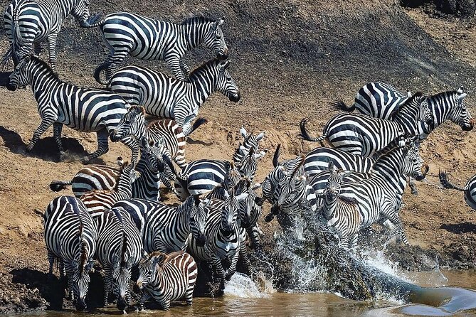 Multi-Day Camping Safari Experience in Arusha - Transportation and Logistics