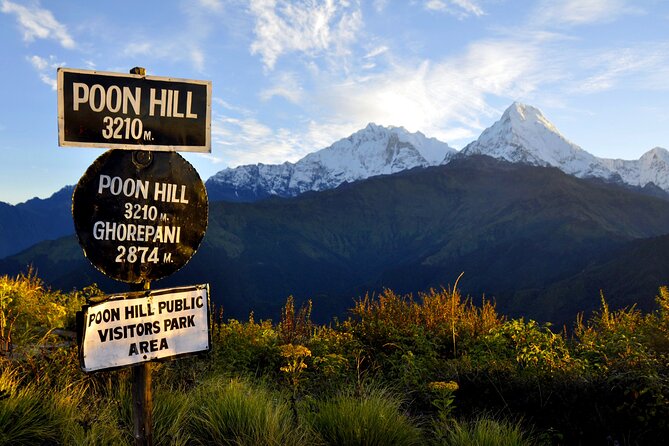 Multi-Day Sites of Nepal Tour From Kathmandu With Poon Hill Trek- 9 Days - Traveler Reviews