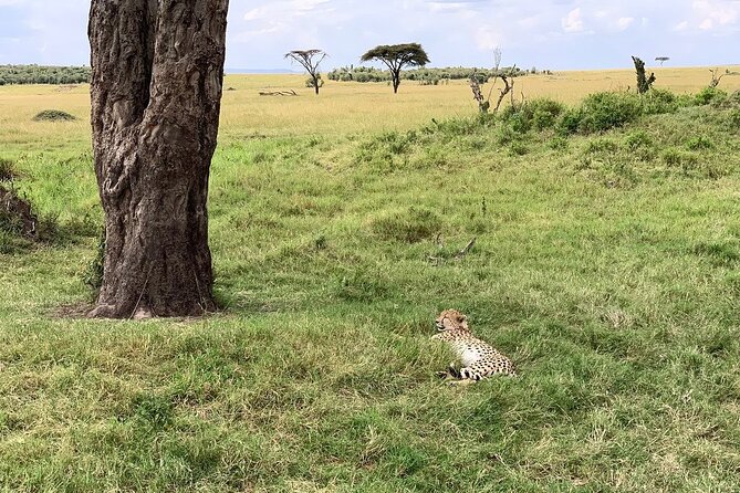 Multi-Day Tanzania Odssey Safari From Arusha - Special Occasions and Customizations