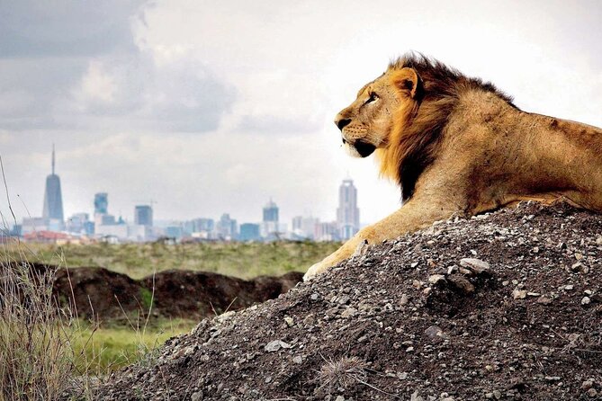 Nairobi National Park, Baby Elephant Orphanage and Giraffe Center - Tips for Visitors