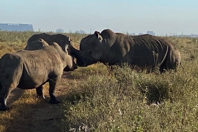 Nairobi National Park,Giraffe Centre, Karen Blixen Museum. - Inclusion Breakdown