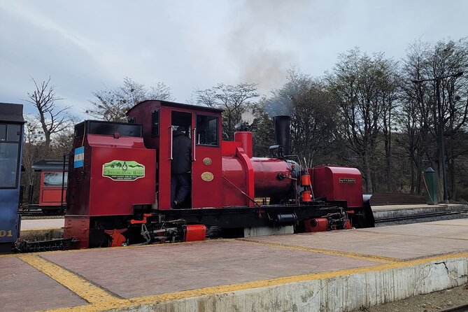 National Park With Train and Navigation Beagle Channel Full Day Tour - Reviews and Feedback