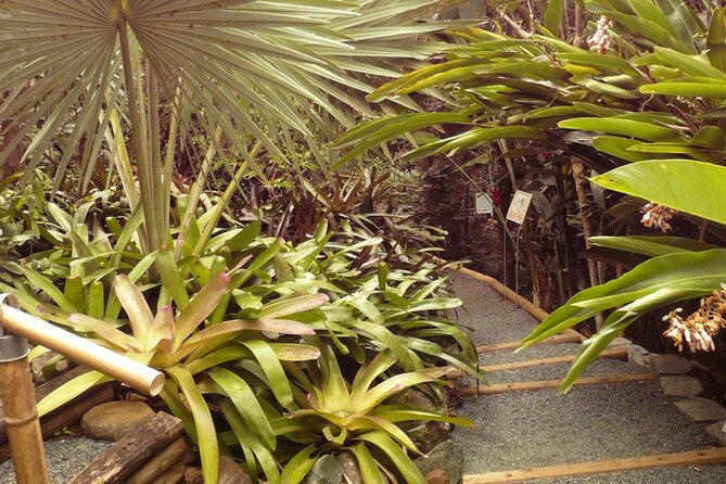 Nature and Sightseeing Tour at Phantasea Tropical Botanical Garden - Tour Cost and Value