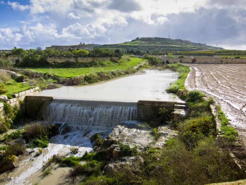 Nature Highlights Private Walking Tour With Transport - Important Information for Guests