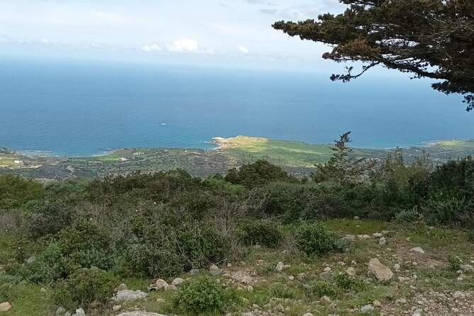 Nature Walking Tour in the Mediterranean Cyprus-8days - Tour Reviews and Ratings