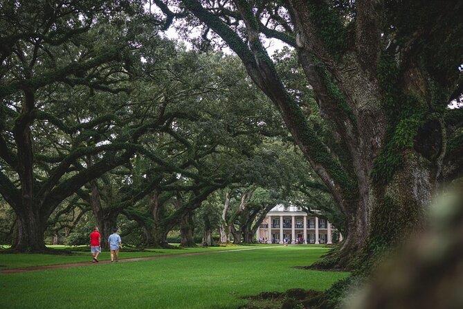 New Orleans Garden District Walking Tour - Tips for a Great Experience