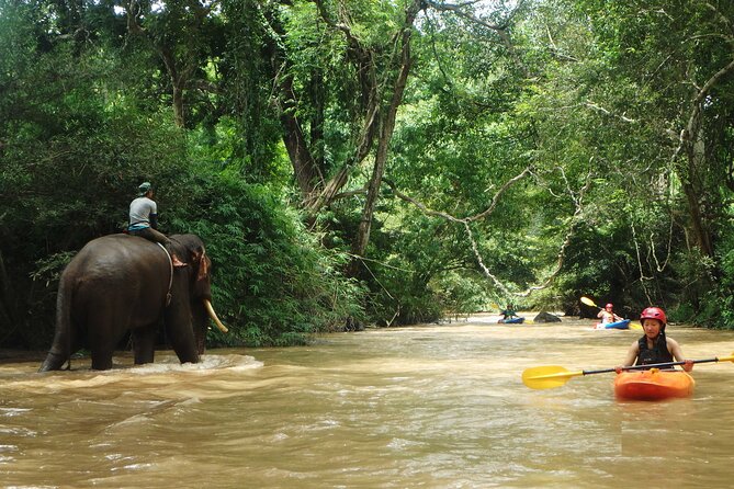 No.1 Chiang Mai : White Water Kayaking: Mae Wang Jungle River - Customer Experiences and Feedback