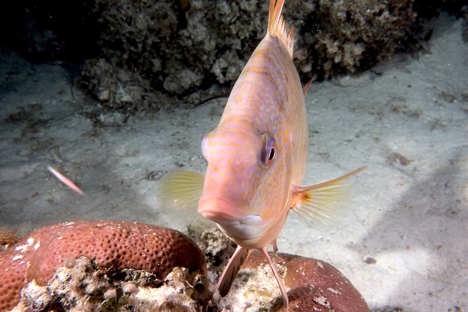 No Experience Required to Discover Scuba in Florida - Cancellation Policy
