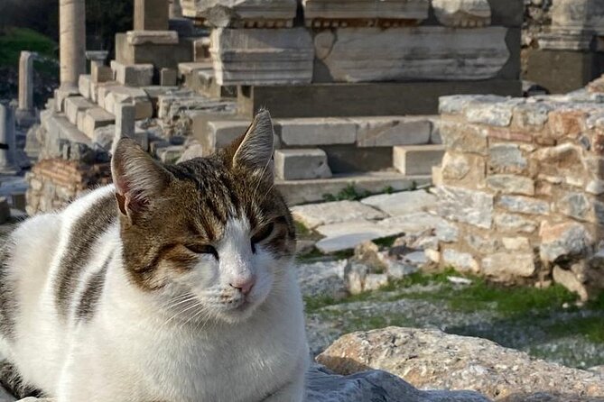 NO HIDDEN COSTS : Ephesus, Virgin Marys House, St. John Basilica - Private Tour Experience