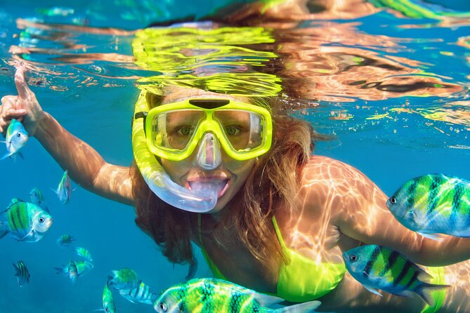 North Bay Snorkel - Activity Suitability and Accessibility