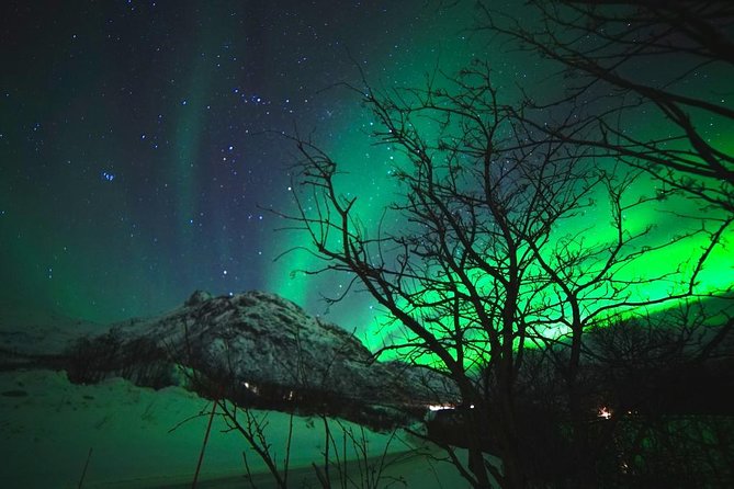 Northern Lights - Teslax Ecofriendly Car - Breathtaking Nordic Landscape and Wilderness