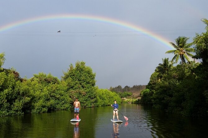 Northshore Ocean Adventure and Circle Islandjeep Tour- Guaranteed to See Turtles - Traveler Reviews and Feedback