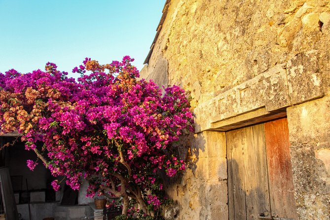 Noto Organic Farm Tour and Lunch or Dinner  - Sicily - Positive Guest Experiences