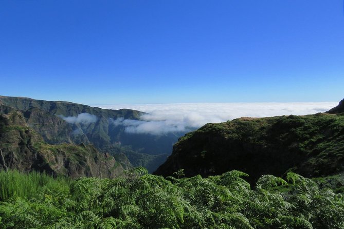 Nuns Valley Open 4X4 Tour - Customer Reviews
