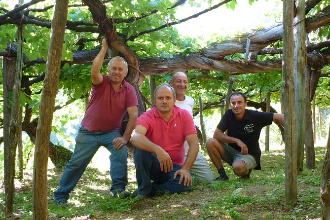 Official Ape Car & Wine Tasting - Amalfi Coast - Wine Tour and Tasting