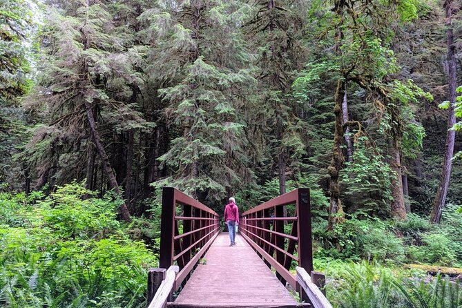 Olympic National Park - Private Luxury Day Tour With Lunch - Reviews and Ratings