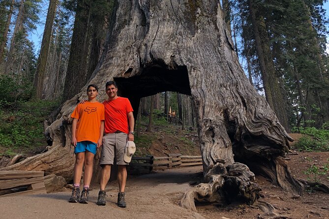 One Day In Yosemite Private Tour:Yosemite Valley, Glacier Point & Giant Sequoias - Traveler Experiences