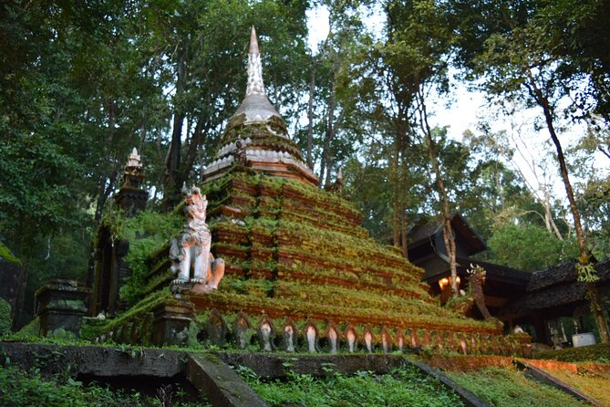One Day Tour Doi Suthep Temple, Palad Temple, Orchid Farm, Longneck Hill Tribe Village (Private Tour) - Orchid Farm Experience