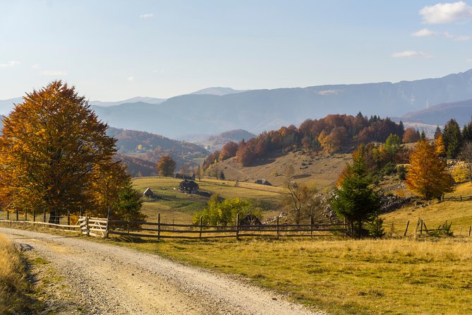 One Day Tour to Bran Castle and Hiking in Piatra Craiului National Park - Transport and Logistics