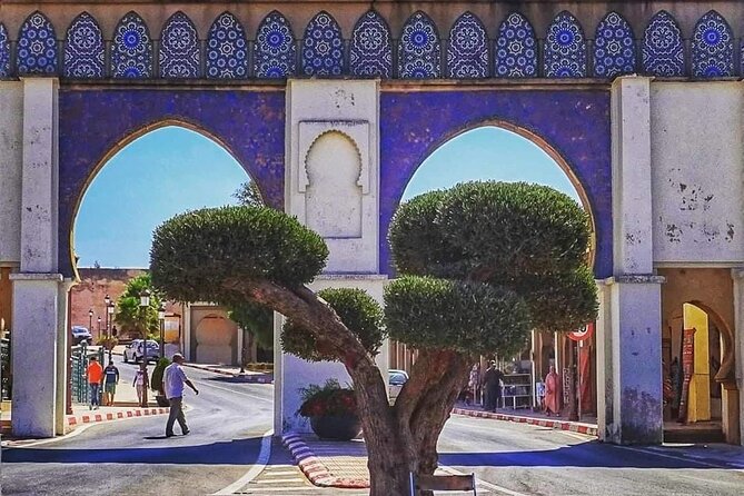 One Day Trip to Volubilis and Meknes From Fes - Accessibility and Participation