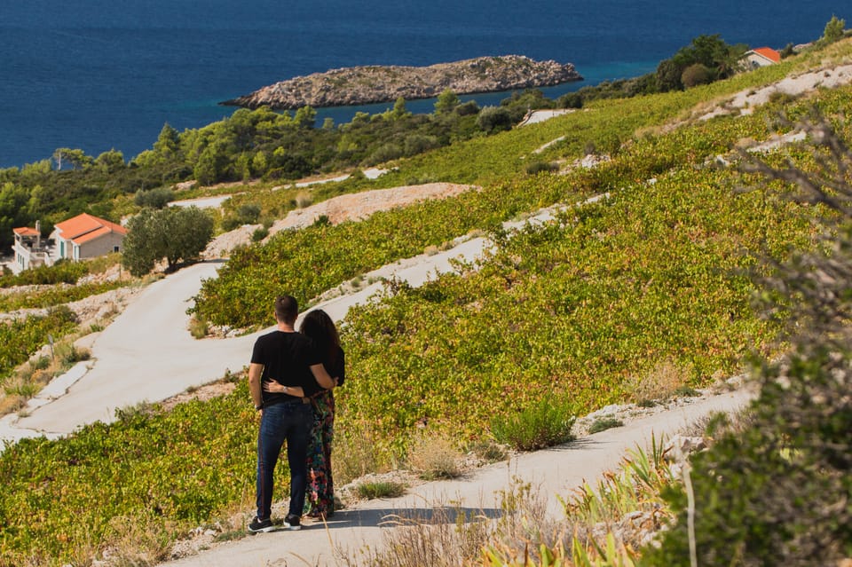 Original Wine Lovers Tour of Peljesac Peninsula - Booking Information