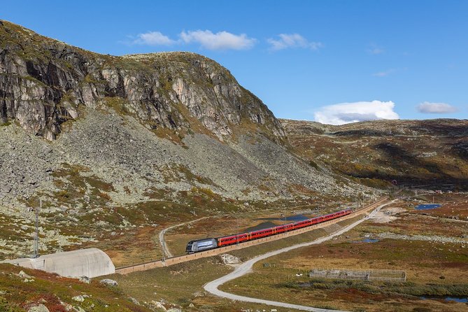 Oslo To Sognefjord Private Full Day Roundtrip Including Flam Railway - Planning Your Unforgettable Day Trip