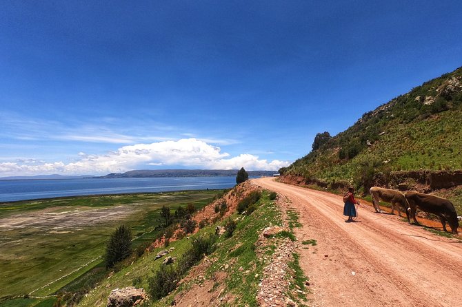 Overnight Luquina Island Homestay Experience From Puno - Included and Not Included