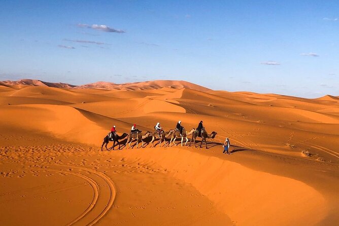 Overnight Stay in Desert Camp & Camel Trekking in the Sahara - Traveler Reviews