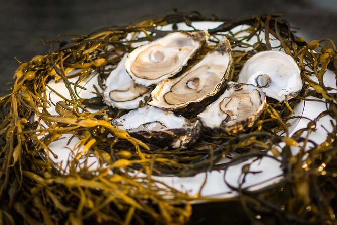 Oyster Farm and Tasting Experience - Booking Flexibility