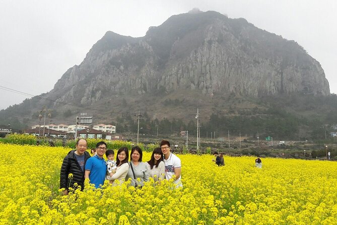 Package Tour of All Areas of Jeju Island-(East &South &West) - Must-See Locations in the West