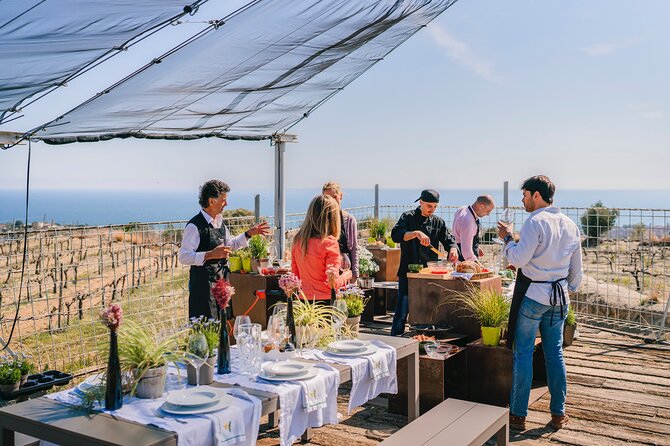 Paella Cooking Experience & Winery Tour From Barcelona - Inclusions and Meeting Information