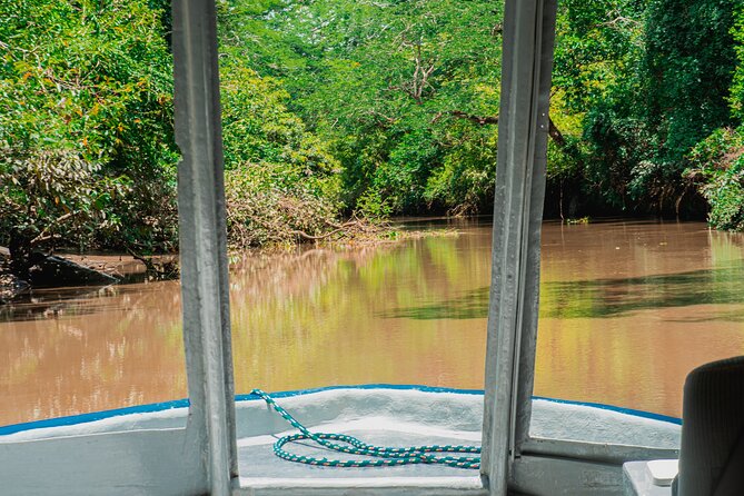 Palo Verde Boat and Farming Tour With Lunch - Boat Tour Experience